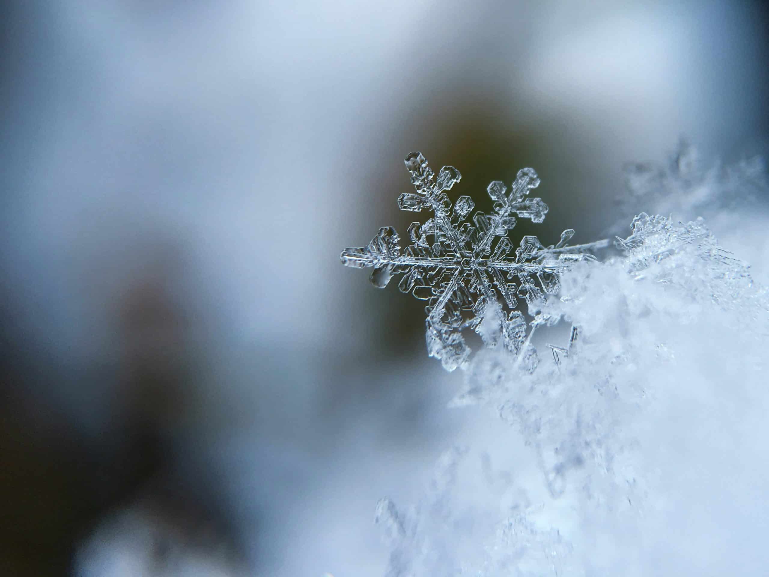 Método Snowflake para escritores