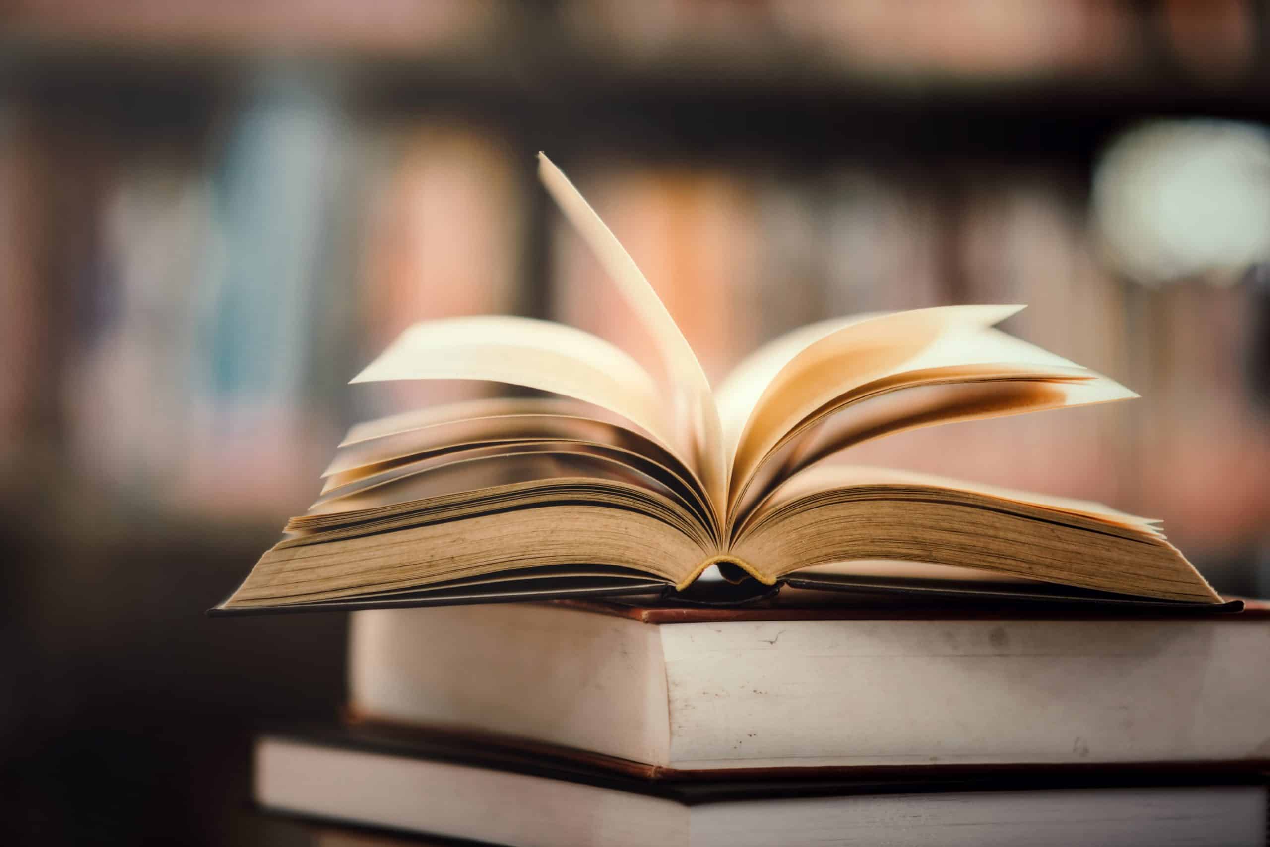 Estrutura do livro com elementos pré-textuais, textuais e pós-textuais