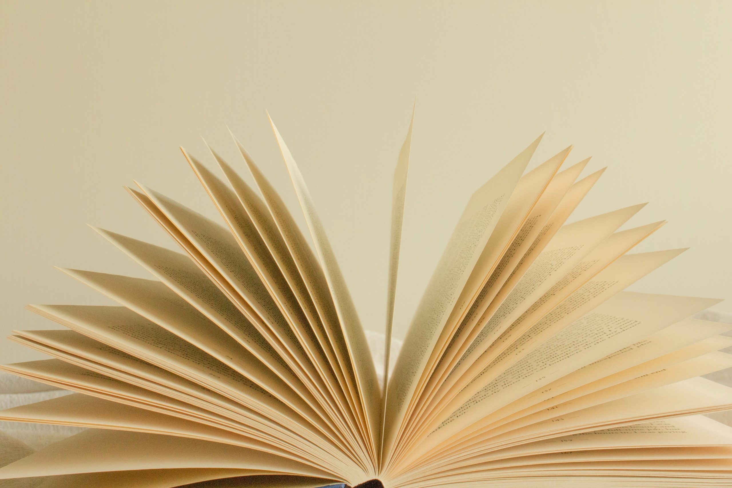 Entrevista com autor ganhador do concurso Baú de Palavras